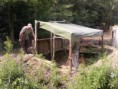 /album/ihrisko/a090705-110558-zmena-velikosti-jpg/